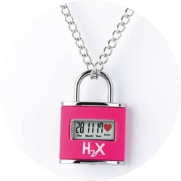 H2X Mod. IN LOVE Anniversary Data Alarm