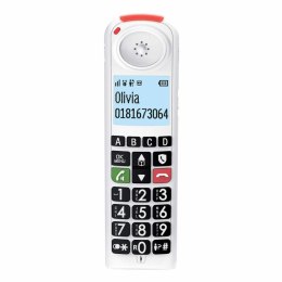 Landline Telephone Swiss Voice Xtra 2355