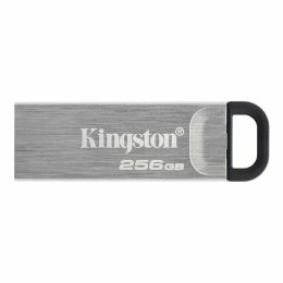 USB stick Kingston DTKN/256GB Black 256 GB