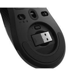 Wireless Mouse Lenovo GY50X79385 Black