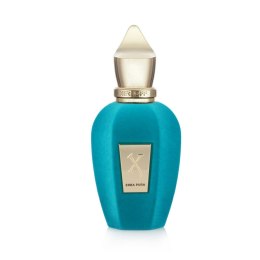 Unisex Perfume Xerjoff EDP V Erba Pura 100 ml