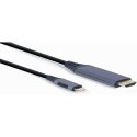 HDMI to DVI adapter GEMBIRD CC-USB3C-HDMI-01-6 Black/Grey 1,8 m