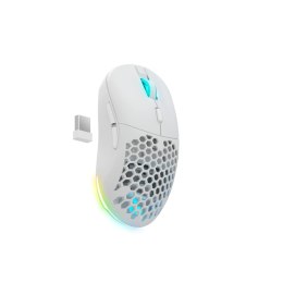 Mouse Newskill White