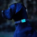 Case-Mate Dog Collar Mount - Case for Apple AirTag (glow-in-the-dark)