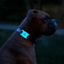 Case-Mate Dog Collar Mount - Case for Apple AirTag (glow-in-the-dark)