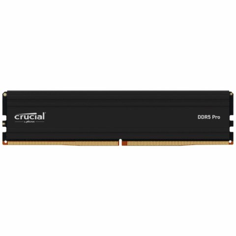 RAM Memory Crucial CP24G60C48U5