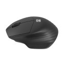 Wireless Mouse Natec SISKIN 2 Black