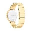 CK CALVIN KLEIN NEW COLLECTION WATCHES Mod. 25100030