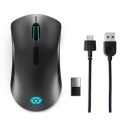 Wireless Mouse Lenovo GY50X79385 Black