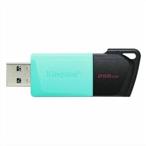 USB stick Kingston Exodia M Black 256 GB (1 Unit)