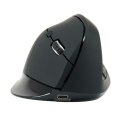 Ergonomic Optical Mouse Conceptronic LORCAN03B Black