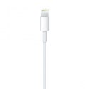 Apple kabel przewód USB-A - Lightning 1m biały (MXLY2ZM/A)