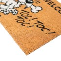 Asterix - Doormat (40 x 60 cm)