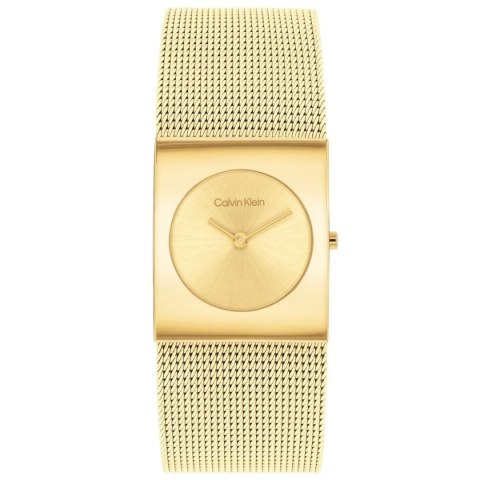 Men's Watch Calvin Klein 25100062