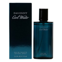 Men's Perfume Davidoff EDT - 75 ml