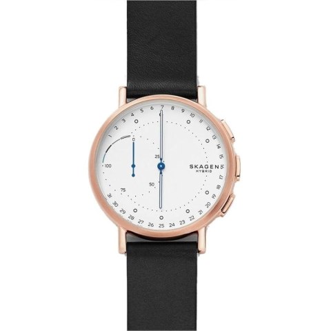 Men's Watch Skagen SIGNATUR