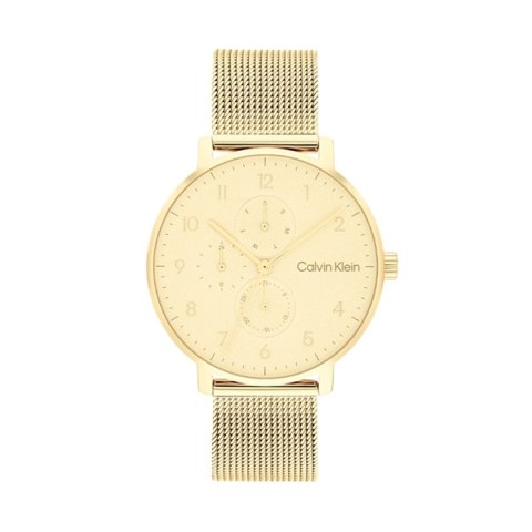 Men's Watch Calvin Klein 25200403 Golden