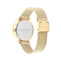 Men's Watch Calvin Klein 25200403 Golden