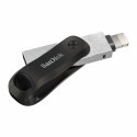 USB stick SanDisk Silver 256 GB