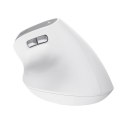 Trust Bayo II - Ergonomic Wireless Mouse (White)