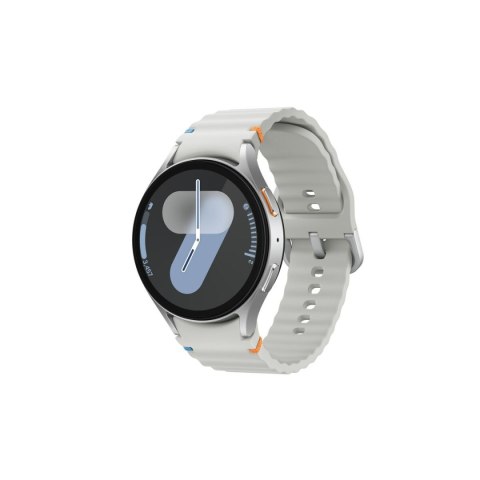 Smartwatch Samsung SM-L310NZSAEUE Silver 44 mm