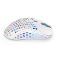 Mouse Endorfy EY6A010 White Multicolour 16000 dpi