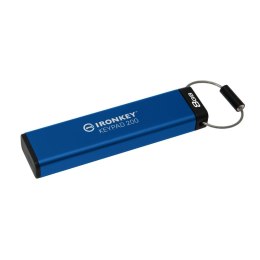 Pendrive Kingston IKKP200/8GB Blue 8 GB