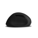 Wireless Mouse Kensington K79810WW Black