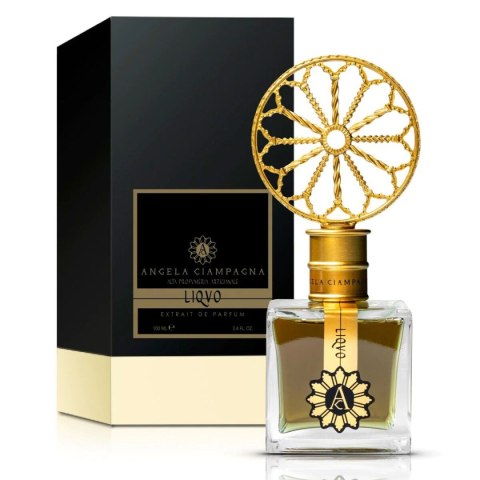 Unisex Perfume Angela Ciampagna Liquo 100 ml