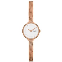 Ladies'Watch Skagen GITTE LILLE (Ø 22 mm)