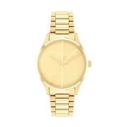 Ladies' Watch Calvin Klein 25200346