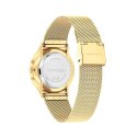 Ladies' Watch Calvin Klein 25300003