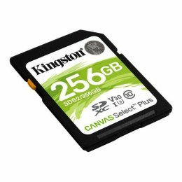 SD Memory Card Kingston SDS2/256GB 256 GB