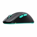 Wireless Mouse Cherry M64