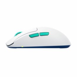 Wireless Mouse Cherry M68