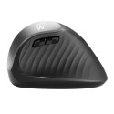 Ergonomic Optical Mouse Ewent ew3229 Black/Grey