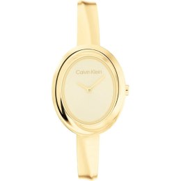 Ladies' Watch Calvin Klein 25100056