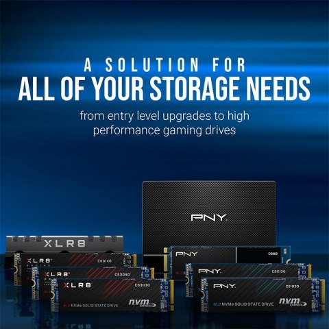 Dysk SSD 2TB M.2 2280 PCIe CS1030 M280CS1030-2TB-RB