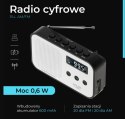 Radio cyfrowe PLL AD1907