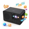 CR1918 Radio Internetowe z WIFI