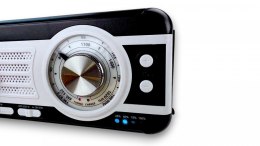 Radio SAFARI WB-1