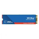 Dysk SSD Blue 250GB SA510 M.2 2280 WDS250G3B0B