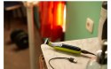 Golarka OneBlade 360 QP2834/23