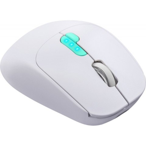 Mysz bezprzewodowa NITTA MM-307 RF+BT 1600DPI 6P biała