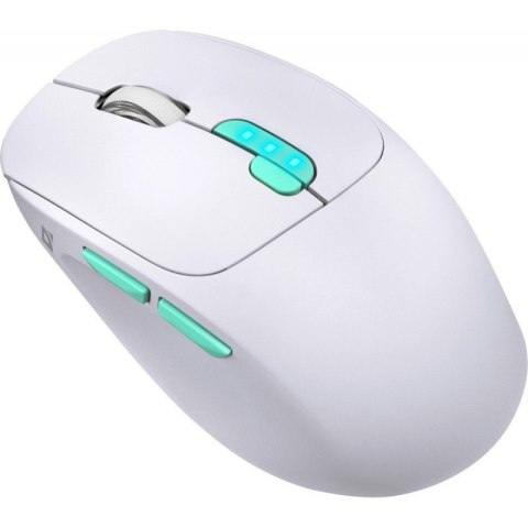 Mysz bezprzewodowa NITTA MM-307 RF+BT 1600DPI 6P biała
