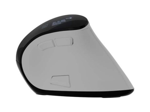 Mysz wertykalna EUPHONIE PRO 2400DPI BT 5.0 bezprzewodowa biała