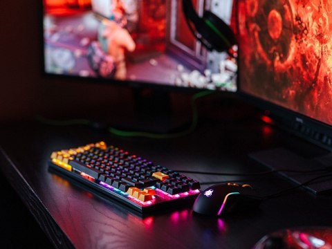 Zestaw mysz i klawiatura mechaniczna Gamezone Hornet87 USB