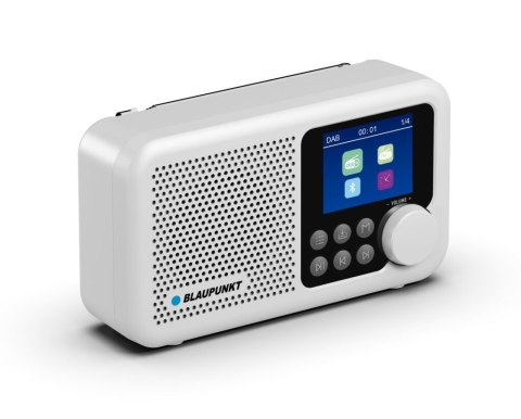 Odbiornik DAB DR8WH