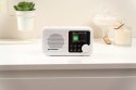Odbiornik DAB DR8WH