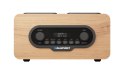 Radio przenośne DAB DR10CR